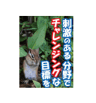 もっと自由にもっと自分らしく04（個別スタンプ：39）