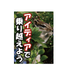 もっと自由にもっと自分らしく04（個別スタンプ：40）