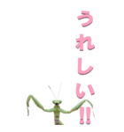 カマキリから3-BIG（個別スタンプ：9）