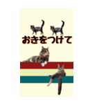 もずくニュースキャスター in okinawa（個別スタンプ：31）