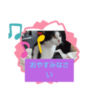 仲良しキャットファミリー17（個別スタンプ：6）