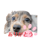 ©️onaぶらんど57 part5（個別スタンプ：8）