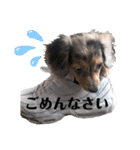 ©️onaぶらんど57 part5（個別スタンプ：9）