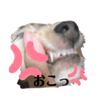 ©️onaぶらんど57 part5（個別スタンプ：16）