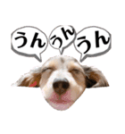 ©️onaぶらんど57 part5（個別スタンプ：26）