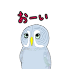 動物の1日シリーズ～ふくろう～（個別スタンプ：22）