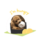 ムギの日常から（個別スタンプ：4）