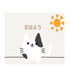 かべねこ（個別スタンプ：1）