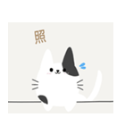 かべねこ（個別スタンプ：16）