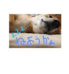 うふふっ小春2（個別スタンプ：14）