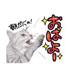 めちゃ使える！日常ノアち（個別スタンプ：1）