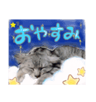 めちゃ使える！日常ノアち（個別スタンプ：2）