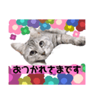 めちゃ使える！日常ノアち（個別スタンプ：3）