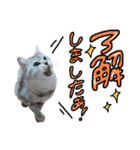 めちゃ使える！日常ノアち（個別スタンプ：4）