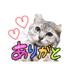 めちゃ使える！日常ノアち（個別スタンプ：5）