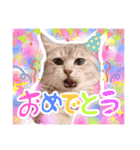 めちゃ使える！日常ノアち（個別スタンプ：7）