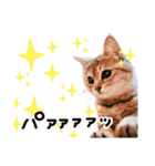 めちゃ使える！日常ノアち（個別スタンプ：8）