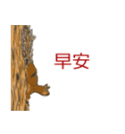 大人女子の栗鼠スタンプ 中国語(繁体)版（個別スタンプ：1）