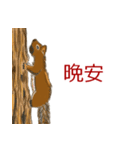 大人女子の栗鼠スタンプ 中国語(繁体)版（個別スタンプ：8）
