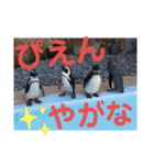たけしのスタンプ その13の2（個別スタンプ：22）