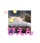 たけしのスタンプ その13の2（個別スタンプ：23）