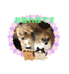 イヌネコ♡（個別スタンプ：5）