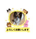 イヌネコ♡（個別スタンプ：17）