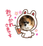イヌネコ♡（個別スタンプ：30）