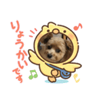 イヌネコ♡（個別スタンプ：31）