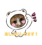 イヌネコ♡（個別スタンプ：40）