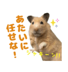 ハムスターやっこさんのスタンプです。（個別スタンプ：1）