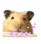 ハムスターやっこさんのスタンプです。（個別スタンプ：6）