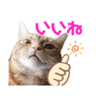 それゆけみぱぷ！其の三（個別スタンプ：3）