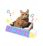 それゆけみぱぷ！其の三（個別スタンプ：5）