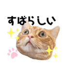 それゆけみぱぷ！其の三（個別スタンプ：6）