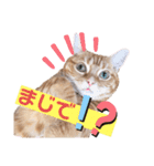それゆけみぱぷ！其の三（個別スタンプ：7）