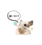 おもぽての吹き出しスタンプ♡（個別スタンプ：3）