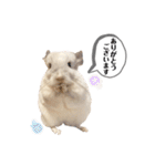 おもぽての吹き出しスタンプ♡（個別スタンプ：5）