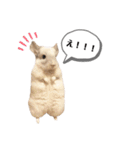 おもぽての吹き出しスタンプ♡（個別スタンプ：15）