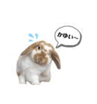おもぽての吹き出しスタンプ♡（個別スタンプ：19）