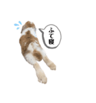 おもぽての吹き出しスタンプ♡（個別スタンプ：23）