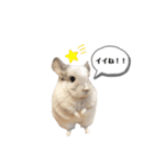 おもぽての吹き出しスタンプ♡（個別スタンプ：33）