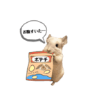 おもぽての吹き出しスタンプ♡（個別スタンプ：34）