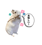 おもぽての吹き出しスタンプ♡（個別スタンプ：35）