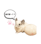 おもぽての吹き出しスタンプ♡（個別スタンプ：36）