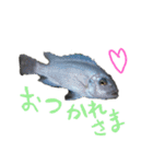 元気系しげるです。（個別スタンプ：2）