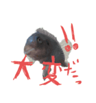 元気系しげるです。（個別スタンプ：5）