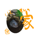 元気系しげるです。（個別スタンプ：6）