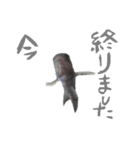 元気系しげるです。（個別スタンプ：8）