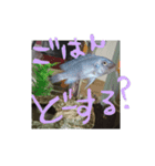 元気系しげるです。（個別スタンプ：9）